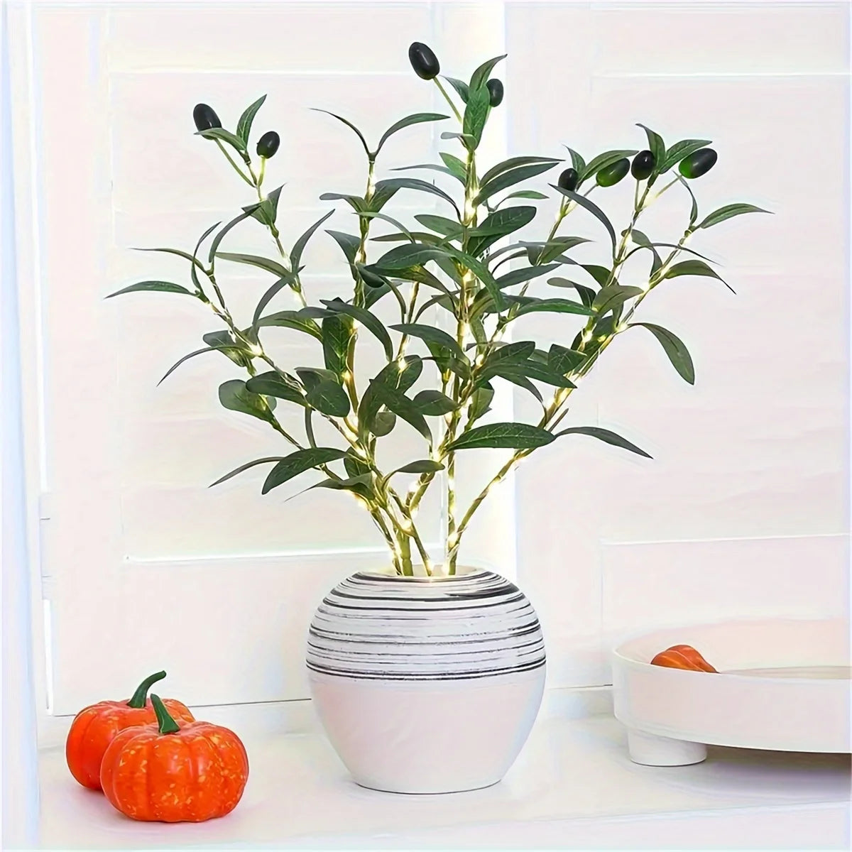 Green Olive Tree